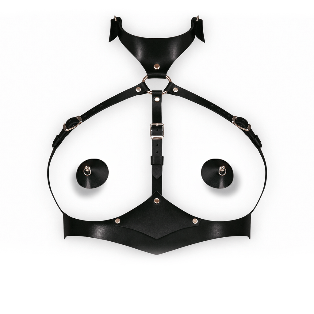 Body Harness