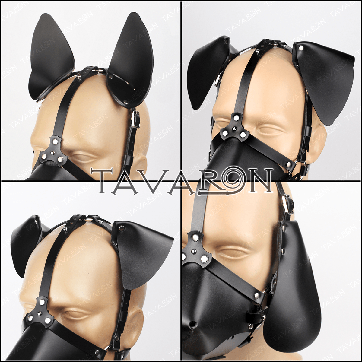 Interchangeable ears