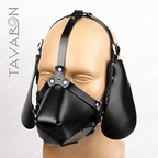 Interchangeable ears