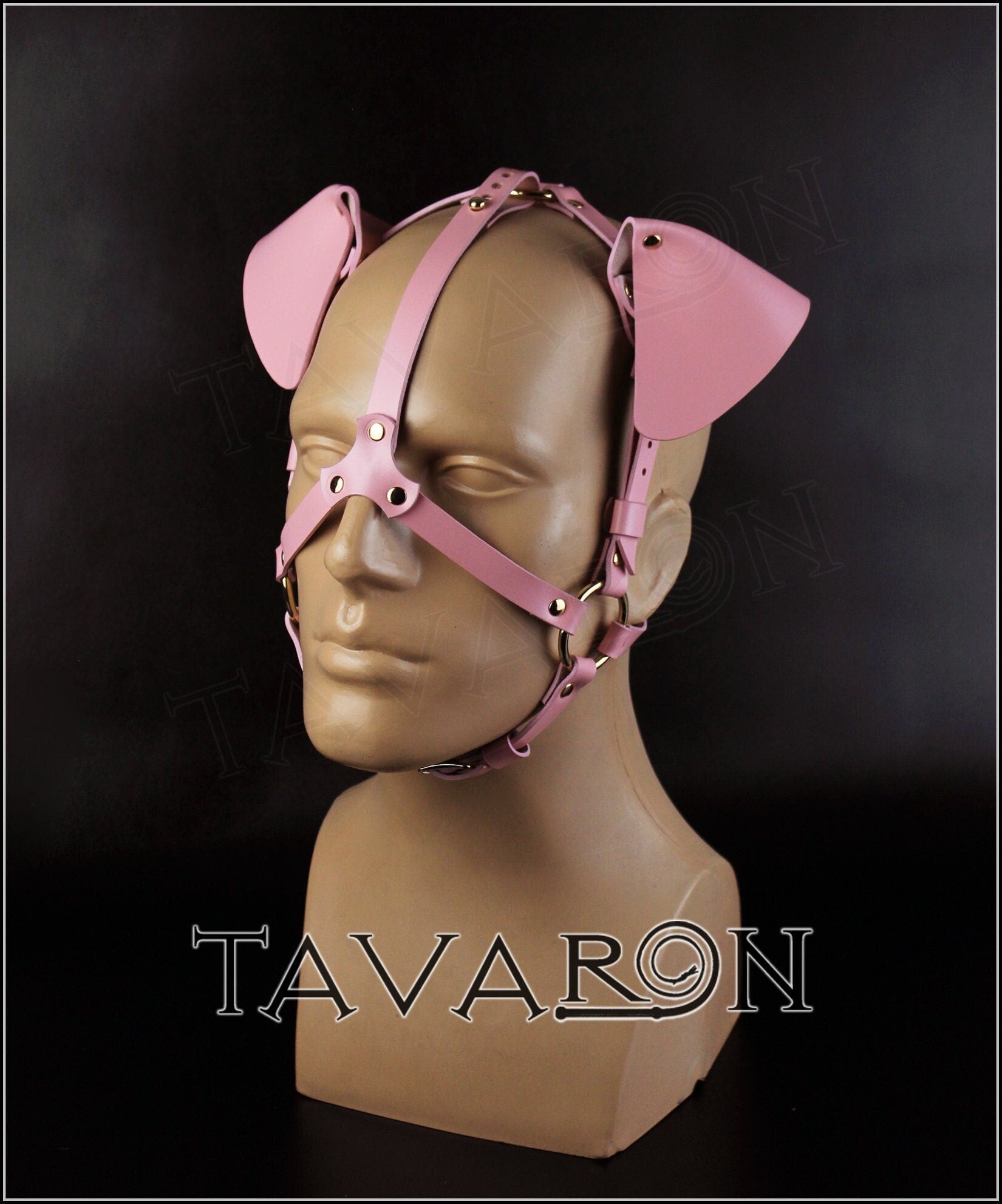 Head harness with dog ears