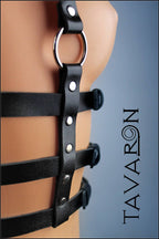 Leather cage body harness
