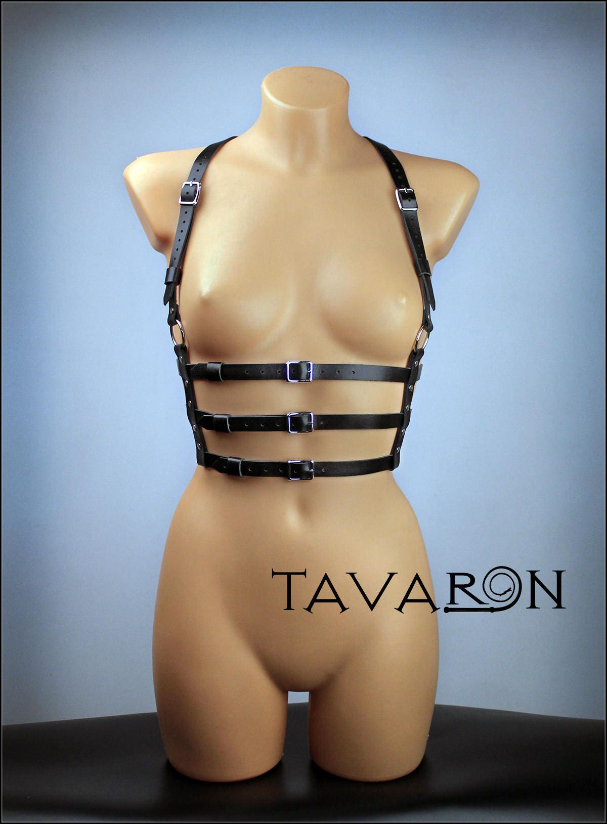 Leather cage body harness