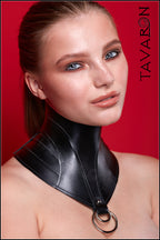 Leather posture collar