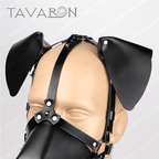 Interchangeable ears