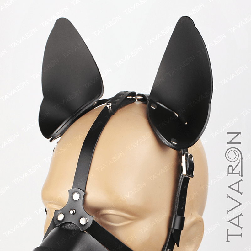 Interchangeable ears