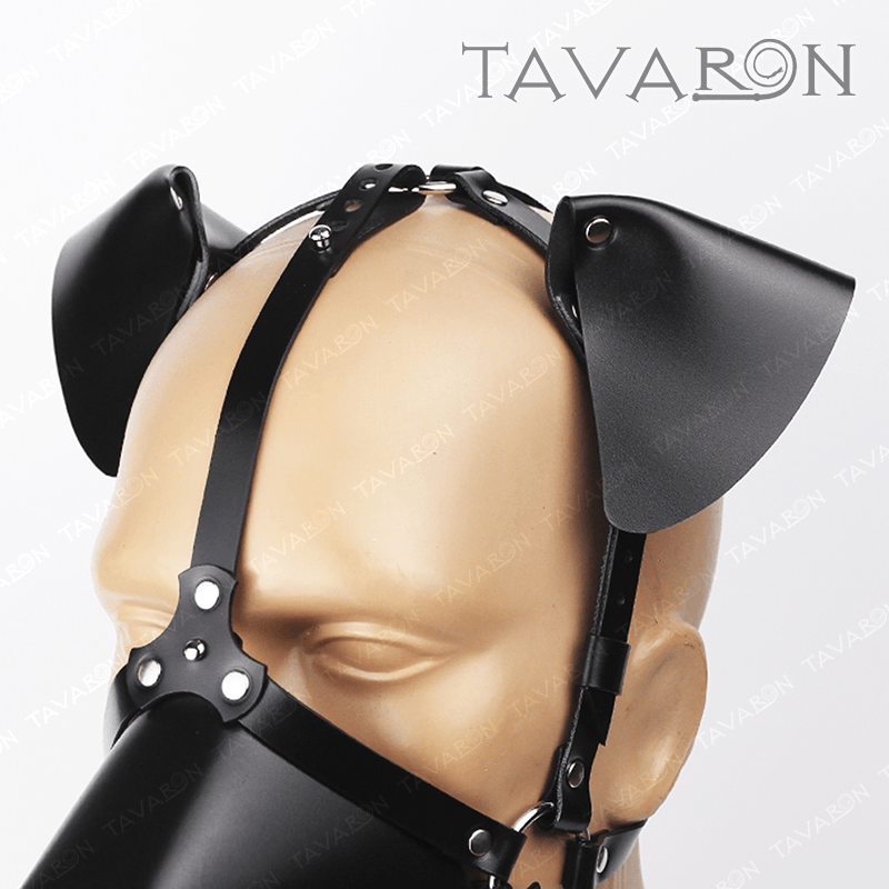 Interchangeable ears